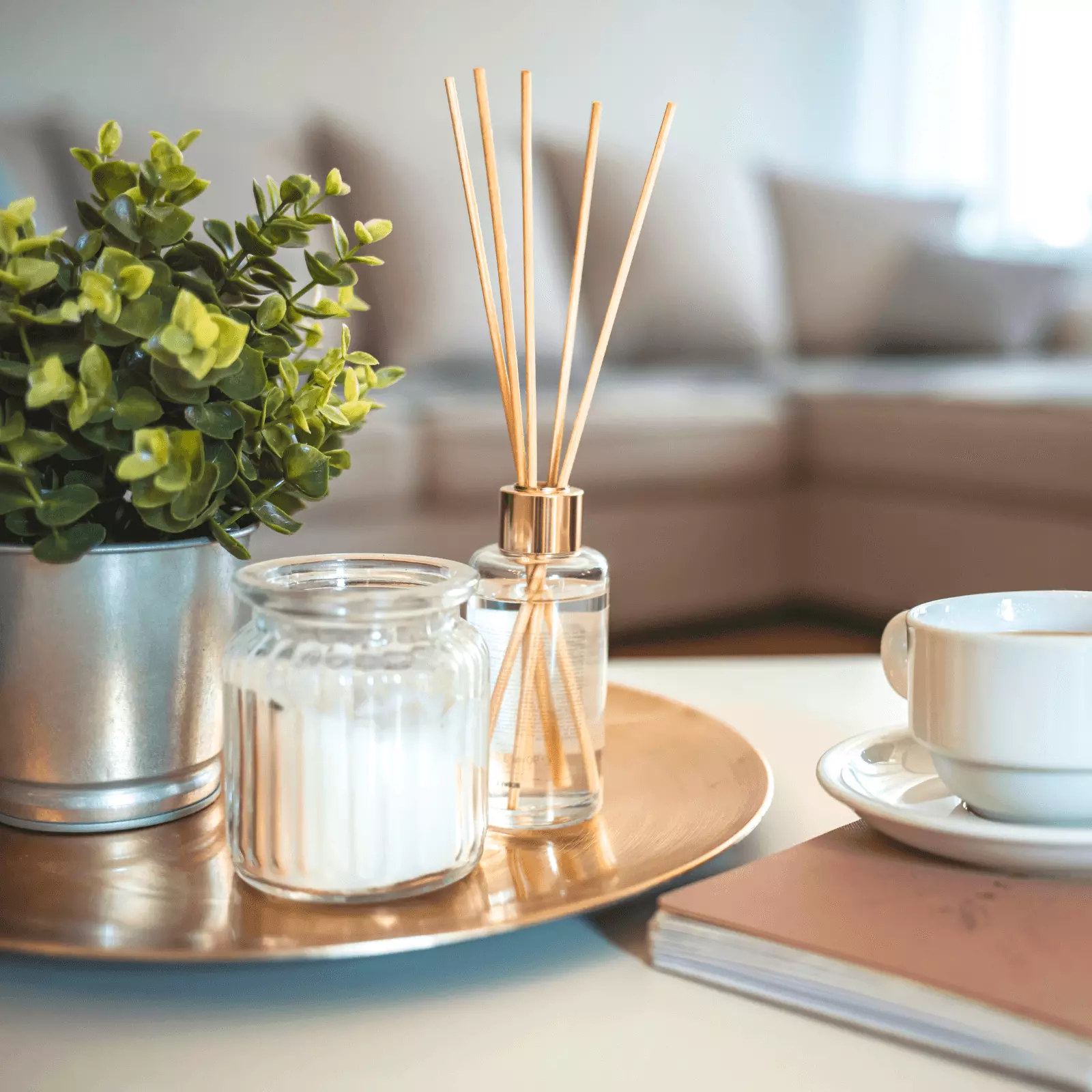 Decoração-Casa-Tazmo-Casa