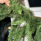 guirlanda-pinheiro-norfolk 