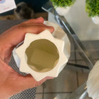 Jarro-de-flores-Tazmo-Casa