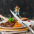 faqueiro-tramontina-laguna-tazmo-casa 