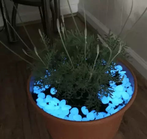 pedra-luminosa-para-jardim-seixos-decorativos-tazmo-509