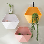 PRATELEIRA DE PAREDE COMBINAÇÃO COLMEIA CRIATIVA TAZMO