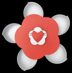 petisqueira-de-doces-e-salgados-petala-decorativa-tazmo-33187